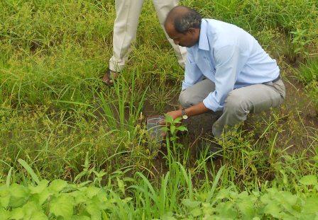 Soil Sampling, Testing and Investigation - Perfect Pollucon Services