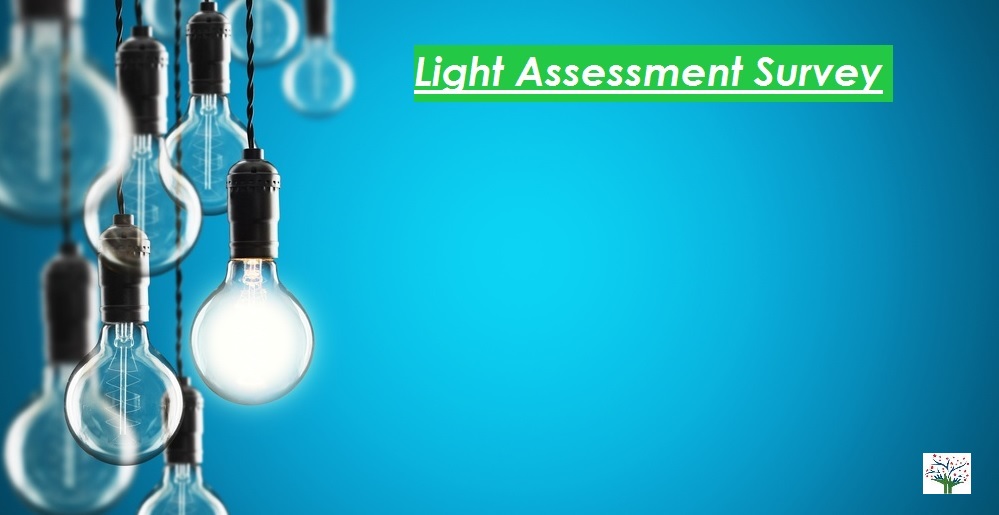 Light assessment survey - Perfect Pollucon Services