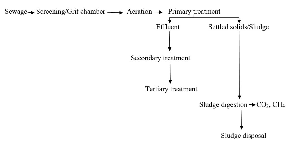 Sewage treatment plant process