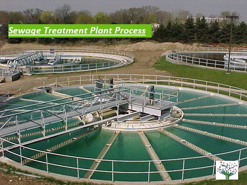 Sewage Treatment Plant Process STP