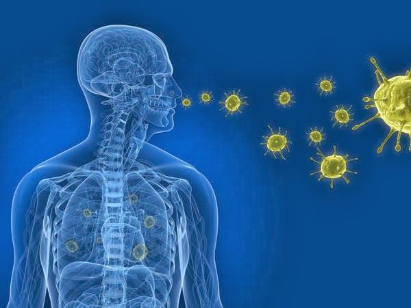 Particles entering in human body - Air Purifier for Home & Its Benefits