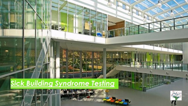 Sick Building Syndrome Testing